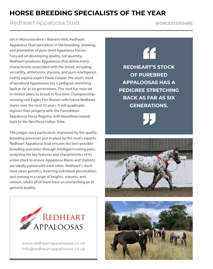 Redheart Appaloosa 2023