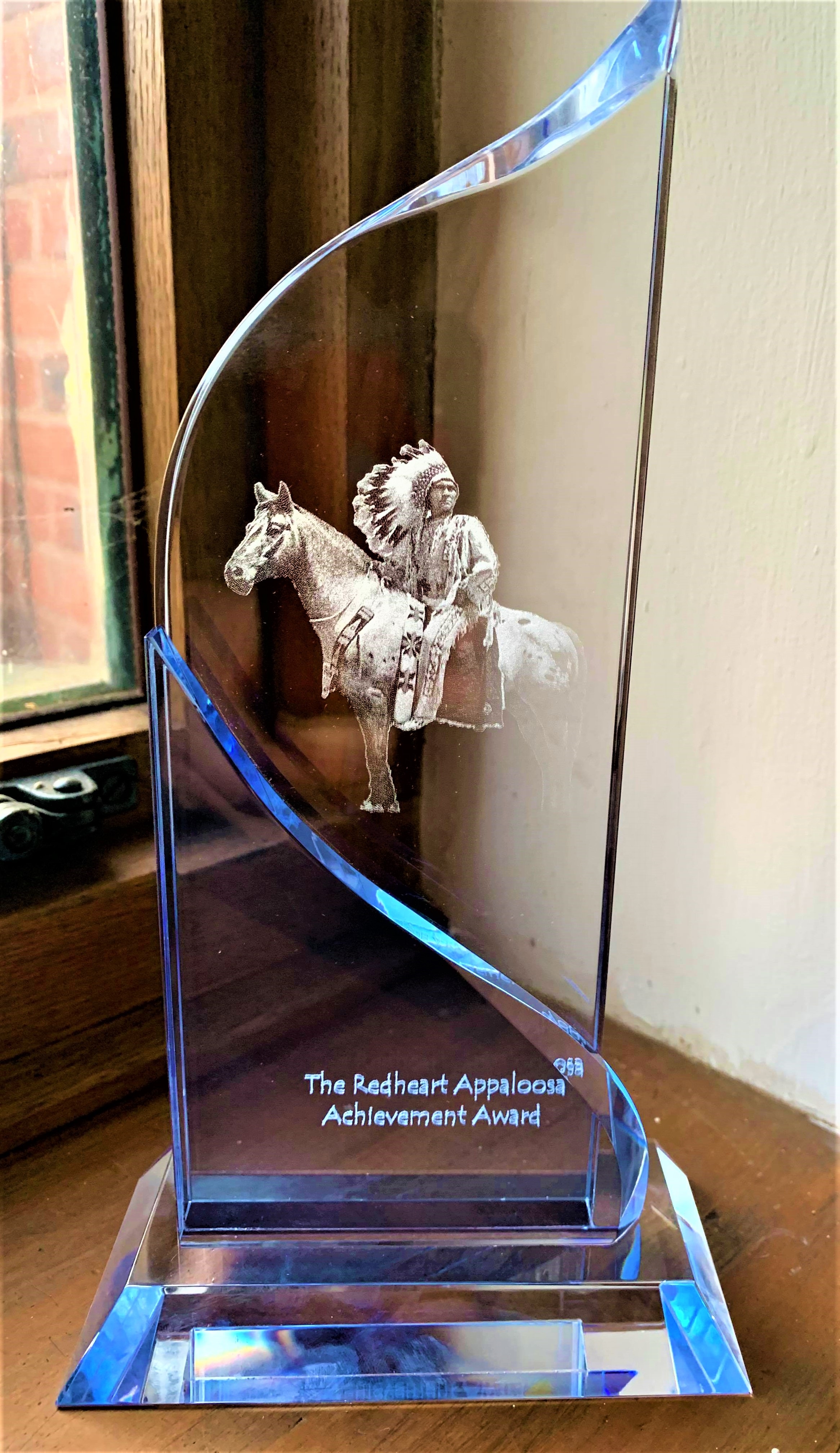 The ApHC UK Achievement Award