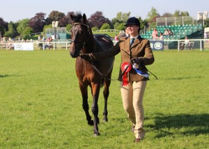 Hevans EV Catorrius (97% FPD 2-yr-old colt), Royal Windsor Horse Show 2014