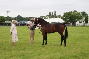 ROYAL 3 COUNTIES SHOW 2