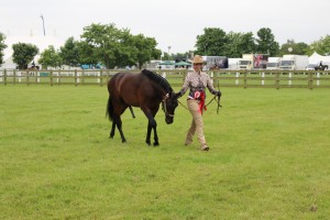 ROYAL 3 COUNTIES SHOW 3