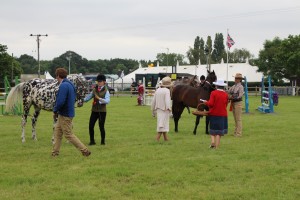 ROYAL 3 COUNTIES SHOW 4