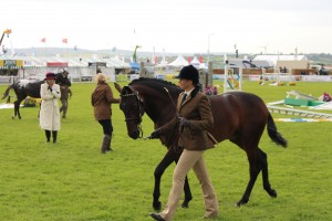 ROYAL CORNWALL SHOW (2)