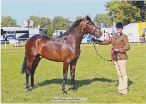 ROYAL WINDSOR 2014