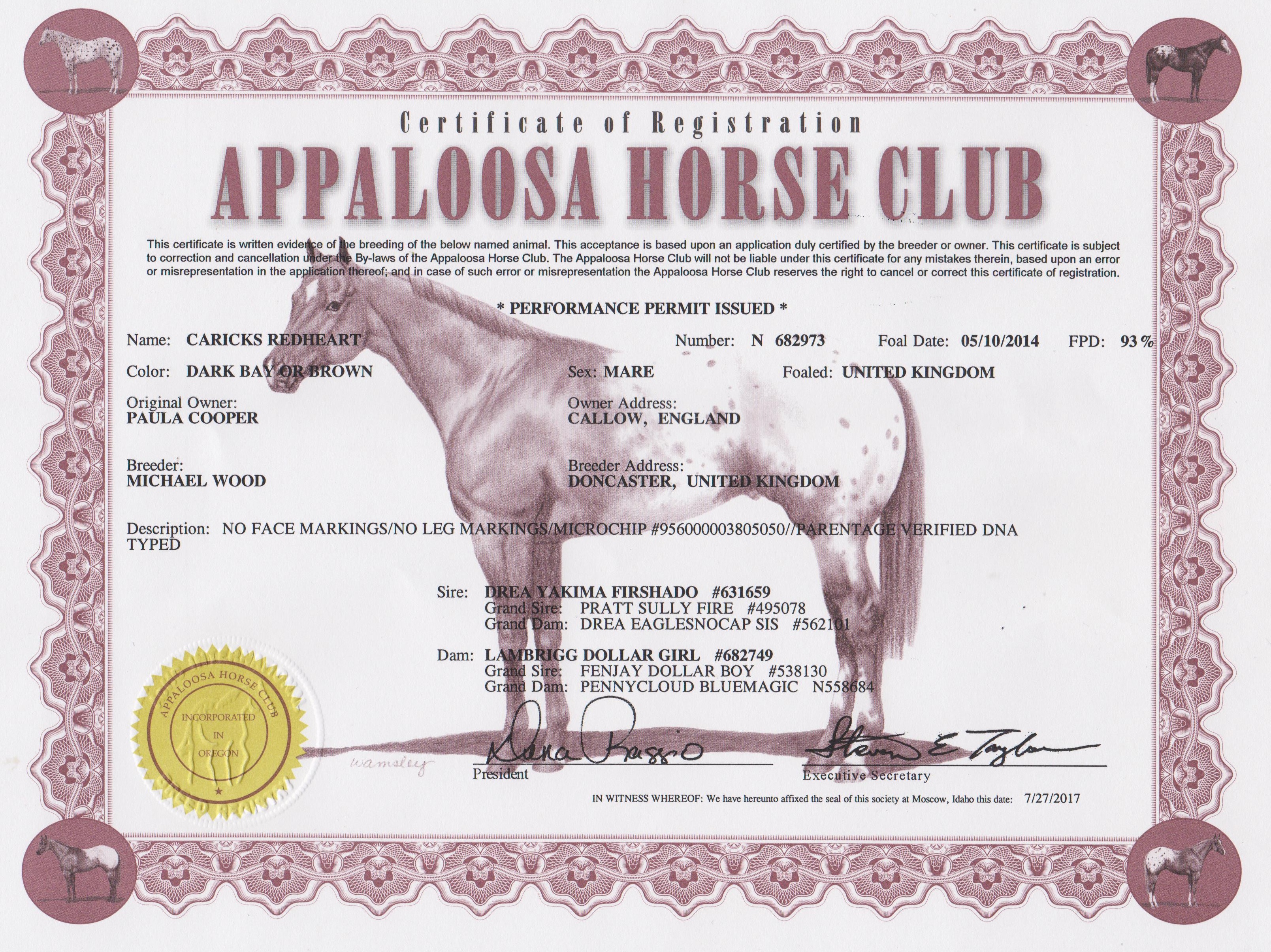 Appaloosa Horse Club